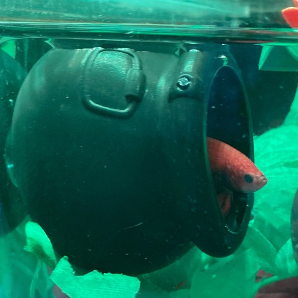 Small plastic hideout - Picture 7 of 8